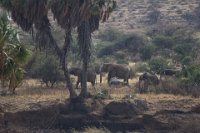 Safari2013-109