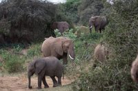 Safari2013-180
