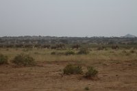 Safari2013-184