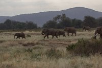 Safari2013-188
