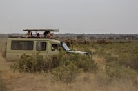 Safari2013-193