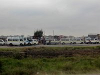 Safari2013-2