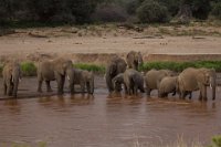 Safari2013-204