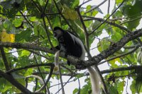Safari2013-228