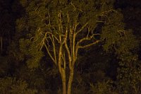 Safari2013-236