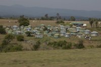 Safari2013-241