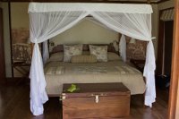 Safari2013-261