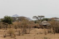 Safari2013-27