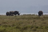 Safari2013-303