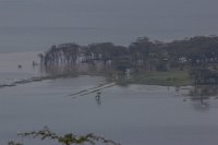 Safari2013-335