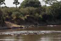 Safari2013-442
