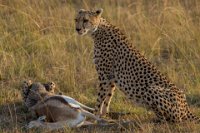 Safari2013-469