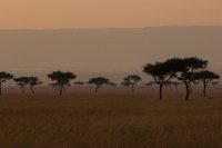 Safari2013-478