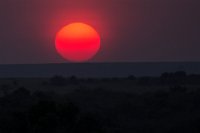 Safari2013-483
