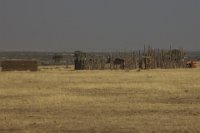 Safari2013-512