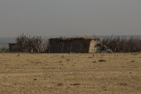 Safari2013-513