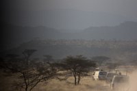Safari2013-68